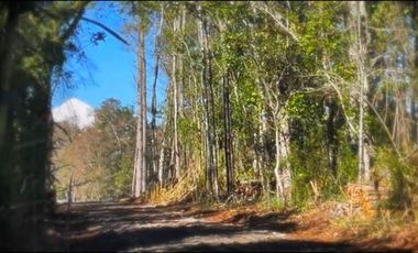 Parcela en Venta en Parcela Camino El Sauce Km 10 Villarrica