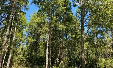 Parcela en Venta en Parcela Camino El Sauce Km 10 Villarrica