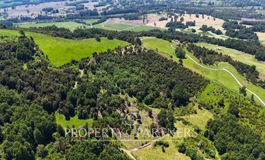 Parcelas en Panguipulli cerro Huellahue a precio Oportunidad.