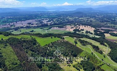 Parcelas en Panguipulli cerro Huellahue a precio Oportunidad.