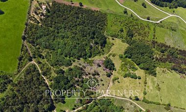 Parcelas en Panguipulli cerro Huellahue a precio Oportunidad.