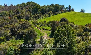 Parcelas en Panguipulli cerro Huellahue a precio Oportunidad.