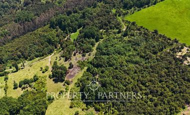 Parcelas en Panguipulli cerro Huellahue a precio Oportunidad.