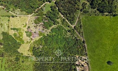 Parcelas en Panguipulli cerro Huellahue a precio Oportunidad.