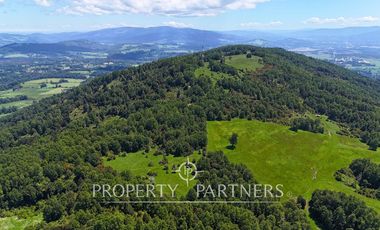 Campo de 40 há a 15 min del centro de panguipulli