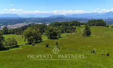 Campo de 40 há a 15 min del centro de panguipulli