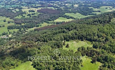 Campo de 40 há a 15 min del centro de panguipulli