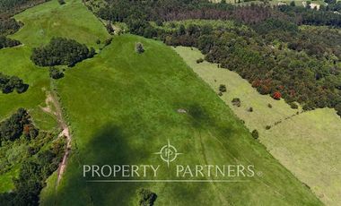 Campo de 40 há a 15 min del centro de panguipulli