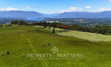 Campo de 40 há a 15 min del centro de panguipulli