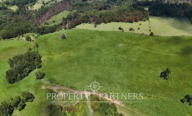 Campo de 40 há a 15 min del centro de panguipulli