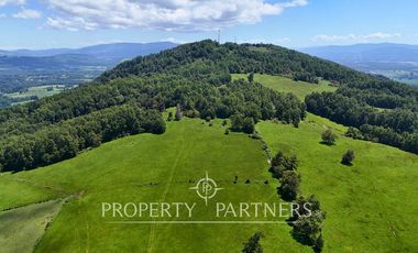 Campo de 40 há a 15 min del centro de panguipulli