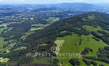 Campo de 40 há a 15 min del centro de panguipulli
