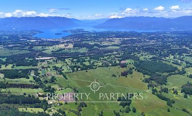 Campo de 40 há a 15 min del centro de panguipulli