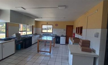 Local Comercial en Arriendo en Lote 2
