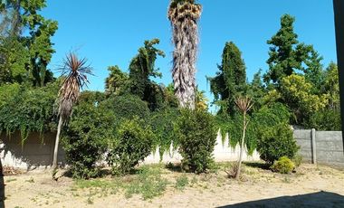 Casa en Arriendo en Flora Lobos