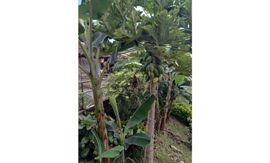 VENDO FINCA EN ARABIA