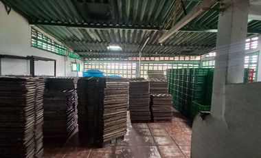 CASA LOTE EN VENTA EN EL PLACER/ARMENIA