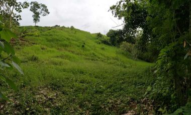 LOTE EN VENTA EN MORELIA/PEREIRA