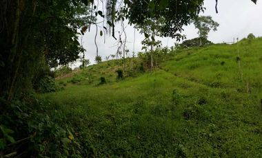 LOTE EN VENTA EN MORELIA/PEREIRA