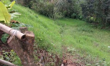 LOTE EN VENTA EN MORELIA/PEREIRA