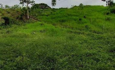 LOTE EN VENTA EN MORELIA/PEREIRA