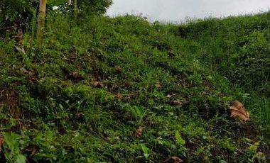 LOTE EN VENTA EN MORELIA/PEREIRA