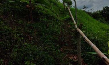 LOTE EN VENTA EN MORELIA/PEREIRA