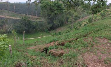 LOTE EN VENTA EN MORELIA/PEREIRA