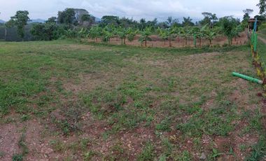 LOTE EN VENTA EN MORELIA/PEREIRA