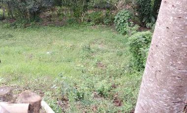 LOTE EN VENTA EN MORELIA/PEREIRA