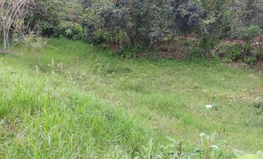 LOTE EN VENTA EN MORELIA/PEREIRA