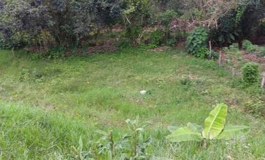 LOTE EN VENTA EN MORELIA/PEREIRA