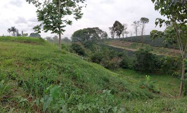 LOTE EN VENTA EN MORELIA/PEREIRA