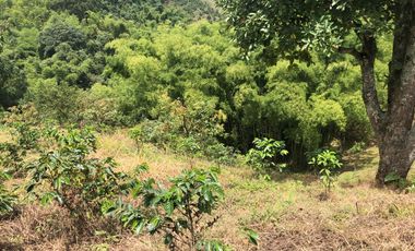 LOTE EN VENTA EN SECTOR EL TAMBO/DOSQUEBRADAS