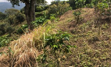 LOTE EN VENTA EN SECTOR EL TAMBO/DOSQUEBRADAS