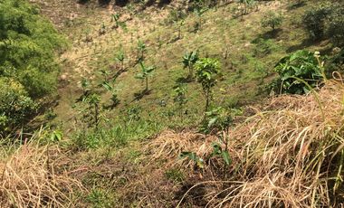 LOTE EN VENTA EN SECTOR EL TAMBO/DOSQUEBRADAS