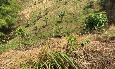 LOTE EN VENTA EN SECTOR EL TAMBO/DOSQUEBRADAS