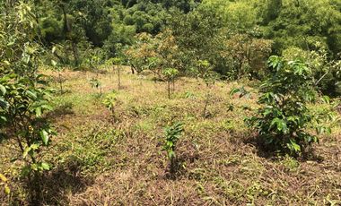 LOTE EN VENTA EN SECTOR EL TAMBO/DOSQUEBRADAS