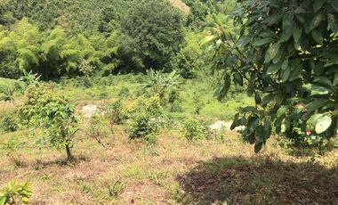 LOTE EN VENTA EN SECTOR EL TAMBO/DOSQUEBRADAS