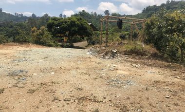 LOTE EN VENTA EN SECTOR EL TAMBO/DOSQUEBRADAS