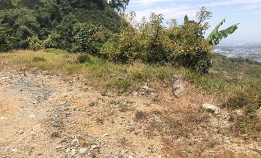 LOTE EN VENTA EN SECTOR EL TAMBO/DOSQUEBRADAS