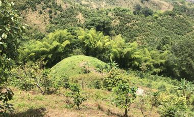 LOTE EN VENTA EN SECTOR EL TAMBO/DOSQUEBRADAS