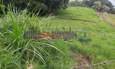 FINCA EN VENTA EN FILADELFIA