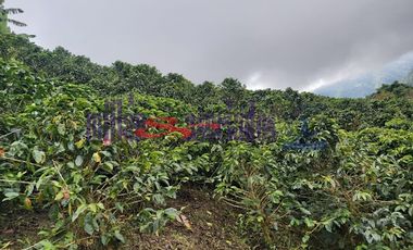 FINCA EN VENTA EN FILADELFIA