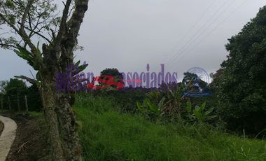 FINCA EN VENTA EN FILADELFIA