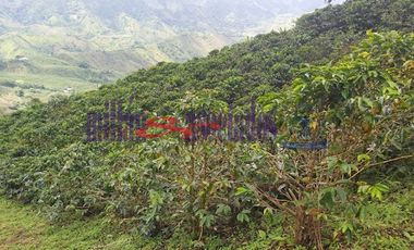 FINCA EN VENTA EN FILADELFIA