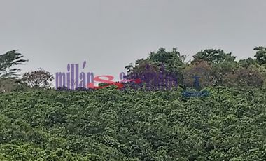 FINCA EN VENTA EN FILADELFIA