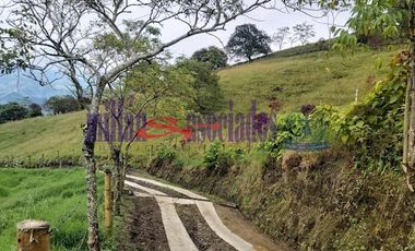 FINCA EN VENTA EN FILADELFIA