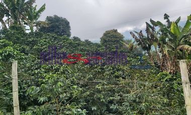 FINCA EN VENTA EN FILADELFIA