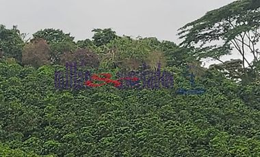 FINCA EN VENTA EN FILADELFIA
